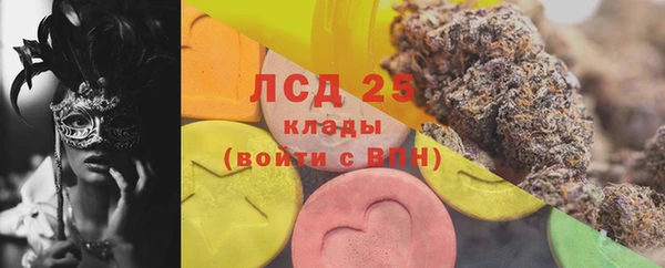 индика Абинск