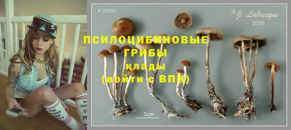 герыч Абаза
