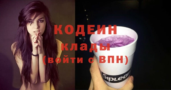 индика Абинск