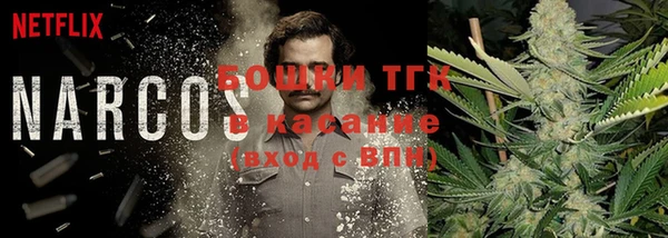 индика Абинск
